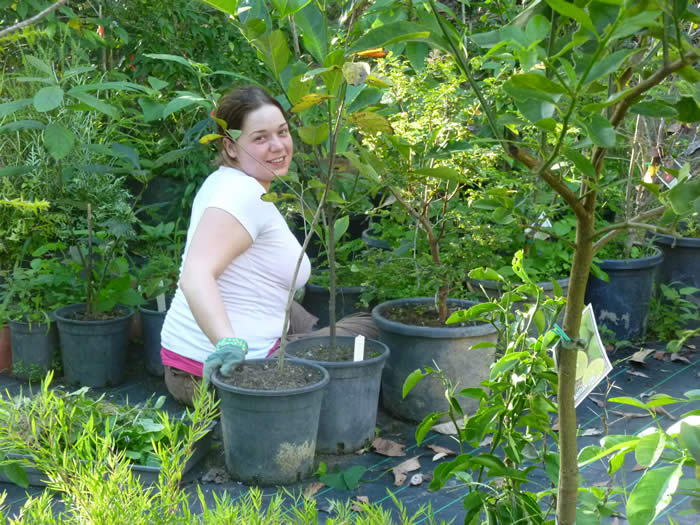Julia weeding the Tree Nursery