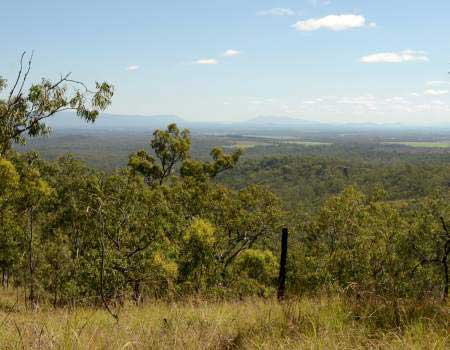 View from one of the Subdivision Lots